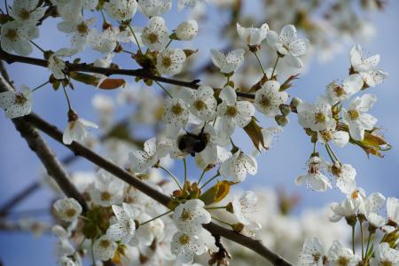Frühling Archehof 2023 03.JPG
