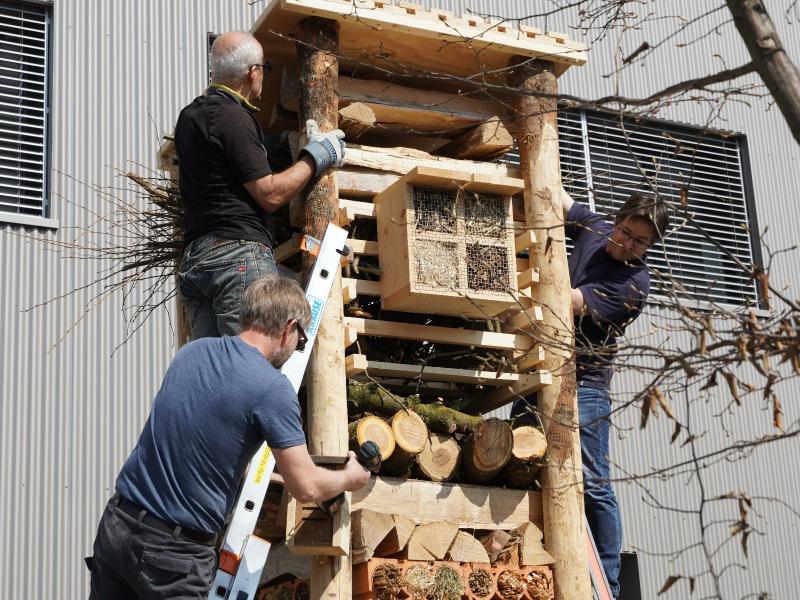 Lebensturm Portfolio 2022